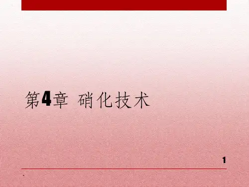 第4章 硝化技术PPT课件