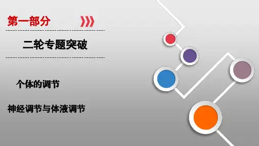高中生物复习：神经体液调节