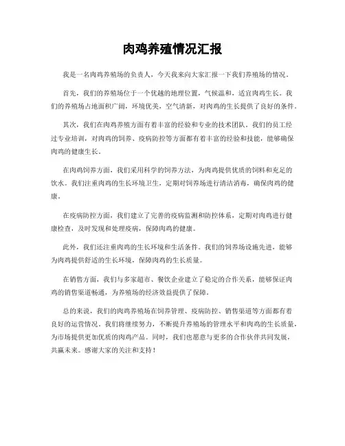 肉鸡养殖情况汇报