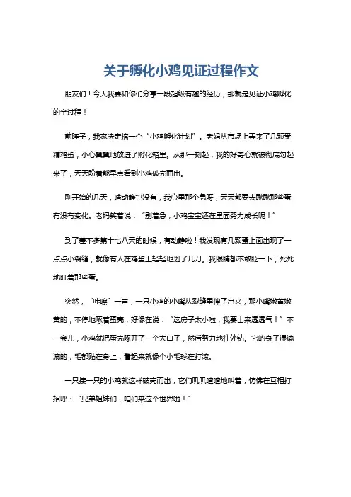 关于孵化小鸡见证过程作文