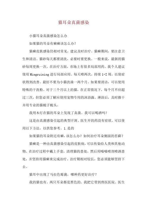 猫耳朵真菌感染