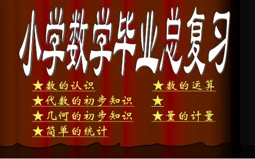 小学数学毕业总复习 ppt课件