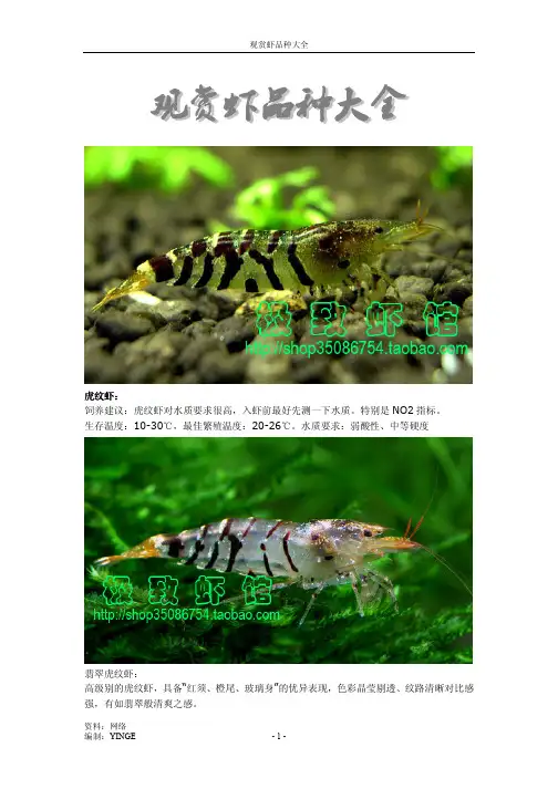 观赏虾品种大全(图文并茂)