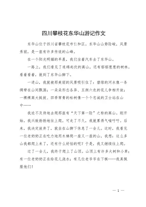 四川攀枝花东华山游记作文