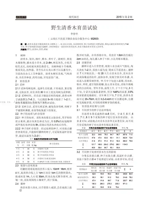 野生清香木育苗试验
