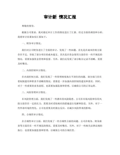 审计新 情况汇报