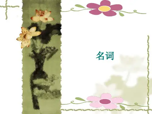 ppt课件-英语名词名词部分讲解