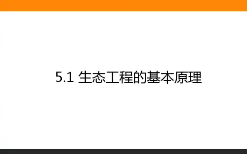 高中生物选修3《现代生物科技专题》课件5.1生态工程的基本原理