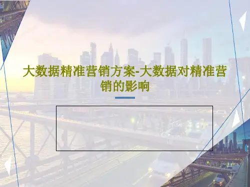 大数据精准营销方案-大数据对精准营销的影响32页PPT