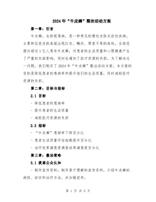 2024年“牛皮癣”整治活动方案