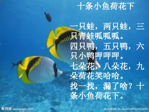 老虎和灰兔5