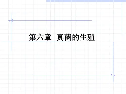 第六章 真菌的生殖new
