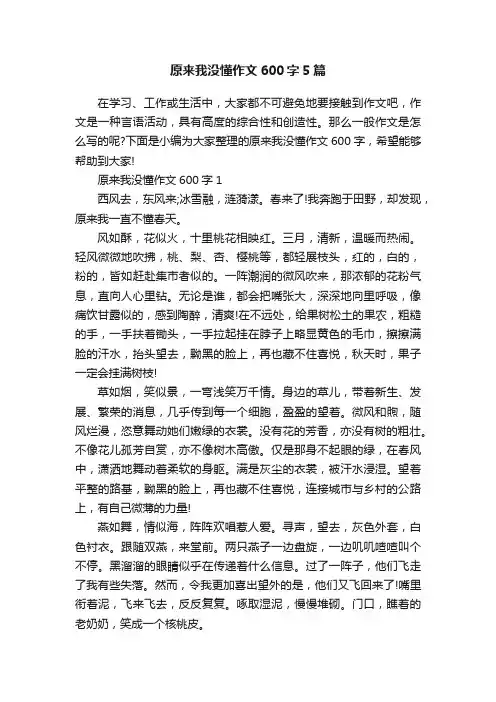 原来我没懂作文600字5篇