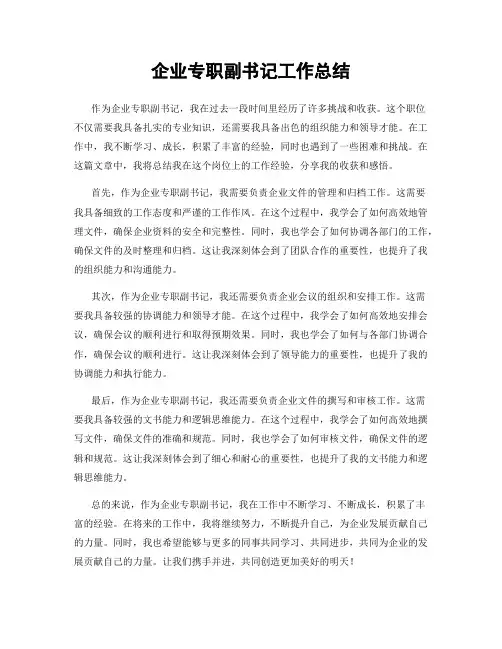 企业专职副书记工作总结