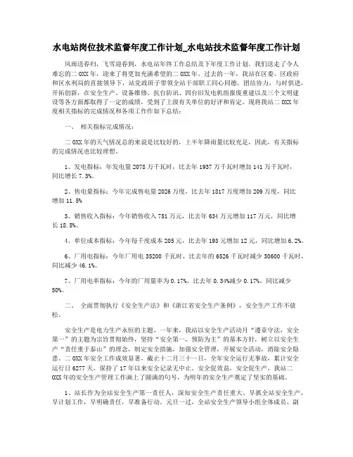 水电站岗位技术监督年度工作计划_水电站技术监督年度工作计划