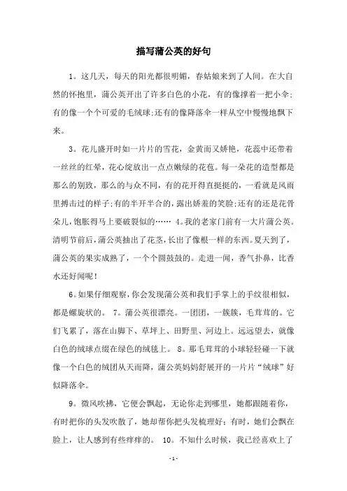 描写蒲公英的好句