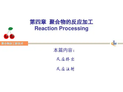 聚合物的反应加工