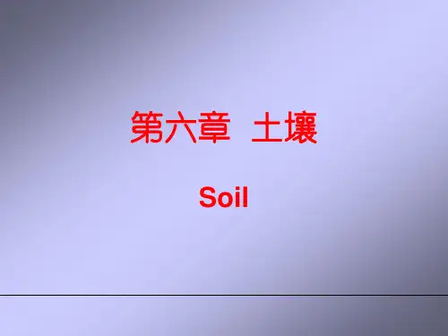 第六章 土壤——自然地理学课件PPT