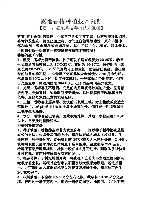 露地香椿种植技术视频