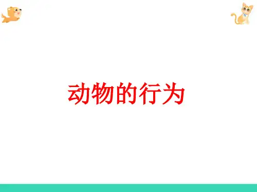 动物行为的类型及生理基础