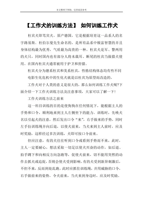 【工作犬的训练方法】 如何训练工作犬