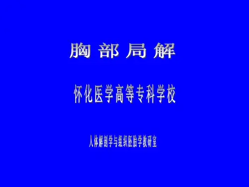 胸部解剖