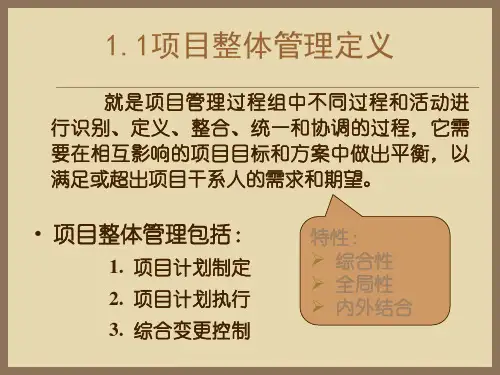 项目整体管理