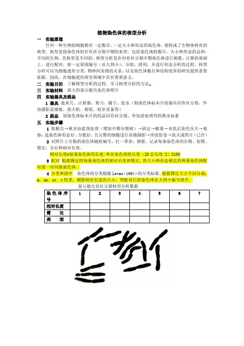 植物染色体的核型分析