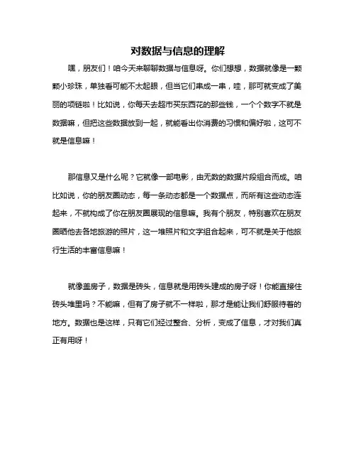 对数据与信息的理解