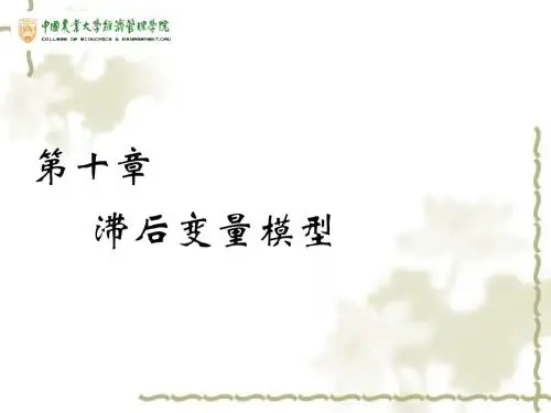 11 滞后变量模型