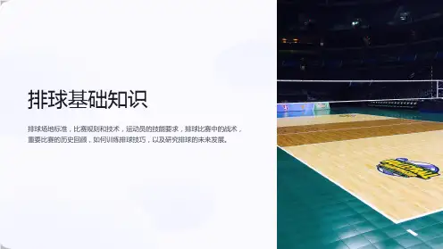 《排球基础知识》课件