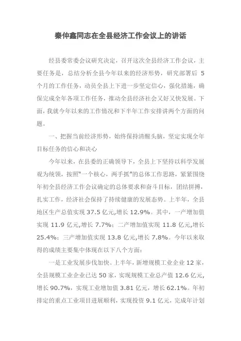 秦仲鑫同志在全县经济工作会议上的讲话