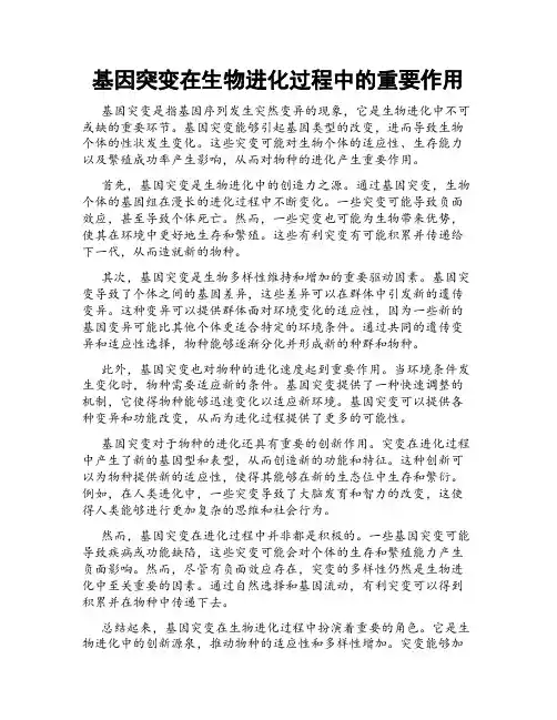基因突变在生物进化过程中的重要作用