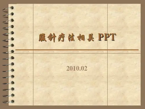 腹针疗法相关 PPT