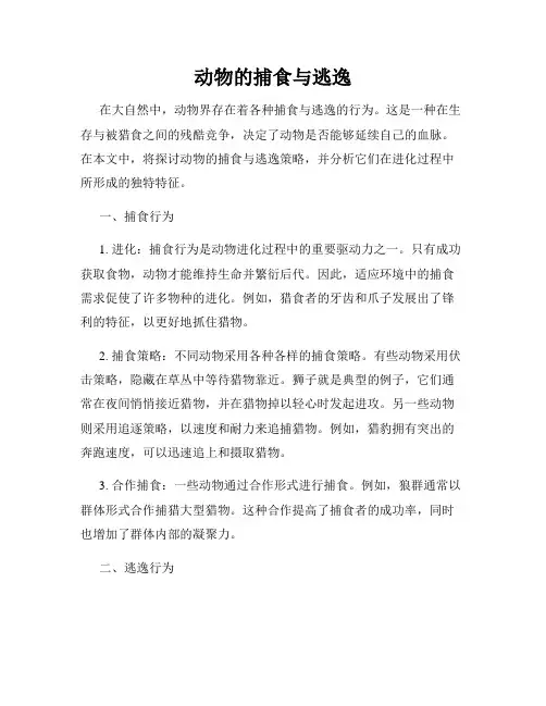 动物的捕食与逃逸