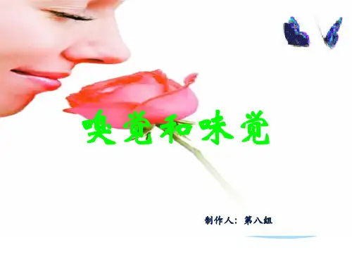 嗅觉和味觉