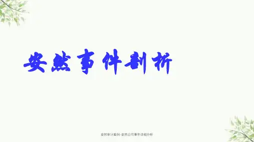 安然审计案例-安然公司事件详细分析课件