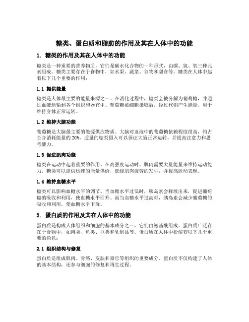 糖类蛋白质脂肪