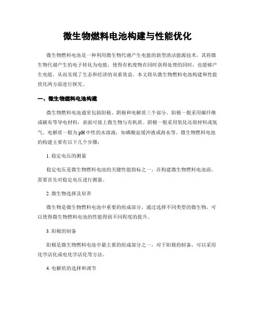 微生物燃料电池构建与性能优化