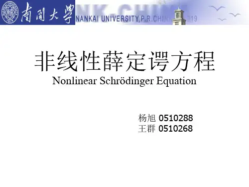 288 268 非线性薛定谔方程