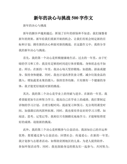 新年的决心与挑战500字作文