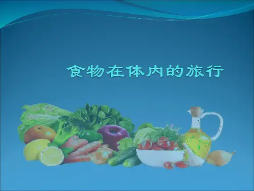 四年级上册科学课件-4.5食物在体内的旅行 教科版(共22张PPT)