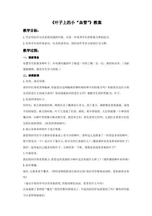 美术《叶子上的小“血管”》教案