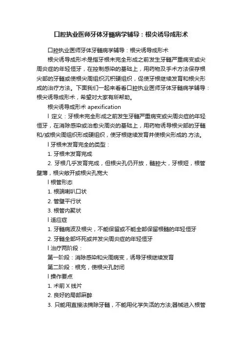 口腔执业医师牙体牙髓病学辅导：根尖诱导成形术