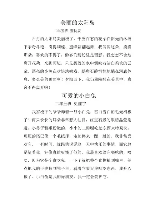 作文-美丽的太阳岛