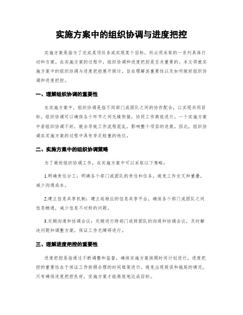 实施方案中的组织协调与进度把控