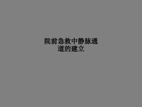 院前急救中静脉通道的建立PPT课件