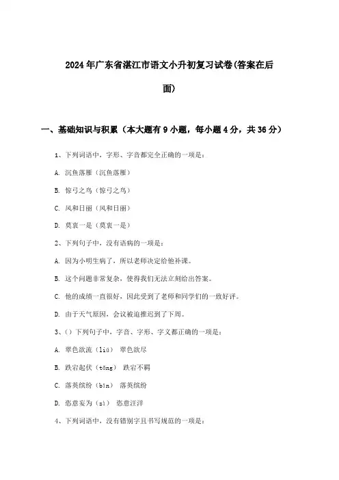 广东省湛江市语文小升初试卷及答案指导(2024年)