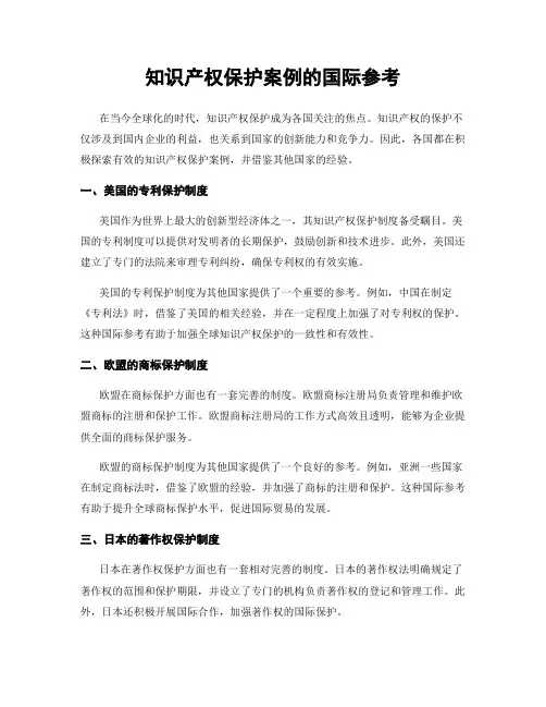 知识产权保护案例的国际参考
