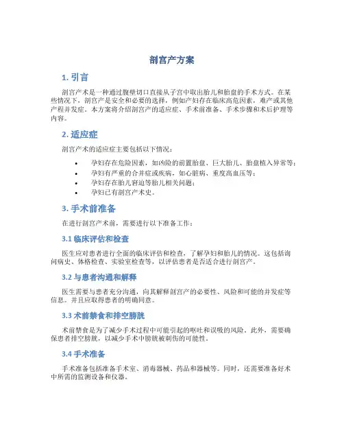 剖宫产方案